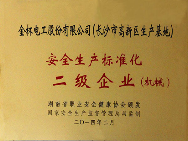 安全生產(chǎn)標準化二級企業(yè)